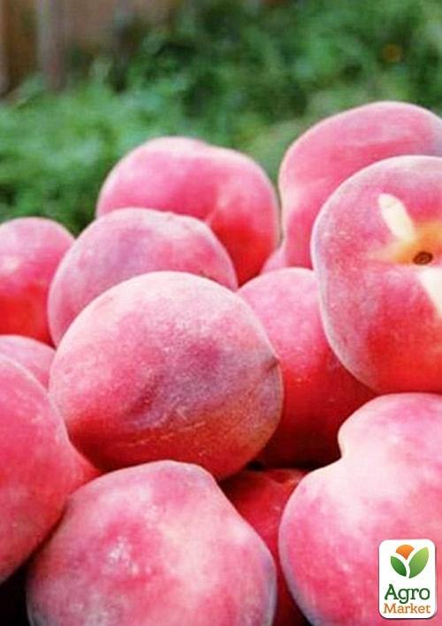Персик "Эрли ред" (летний сорт, ранний срок созревания)