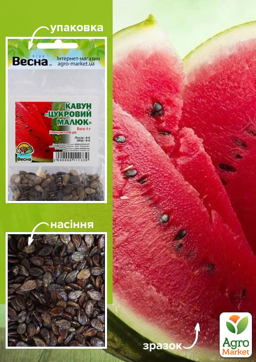 Арбуз "Сахарный малыш" (Зипер) ТМ "Весна" 4г