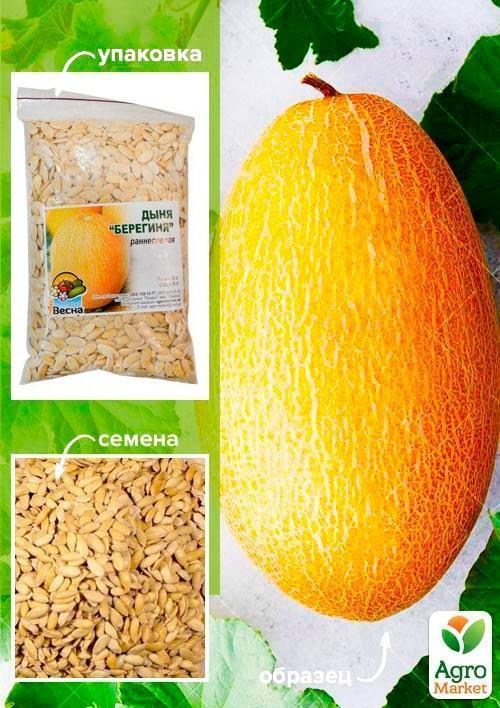 Дыня "Берегиня" ТМ "Весна" 100г