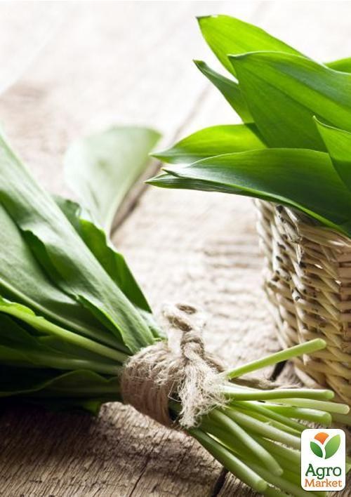 Черемша "Ведмежа цибуля" ТМ "Vesna Select" 2г