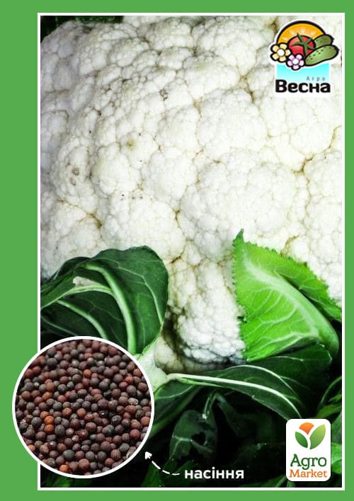 Капуста цветная раннеспелая "Фрюэрте" ТМ "Весна" 0.3г
