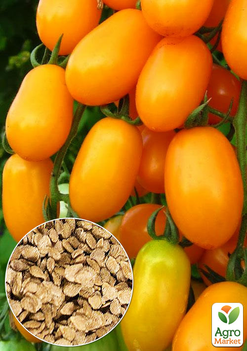 На развес Томат "Лучики" ТМ "Весна" цена за 1г