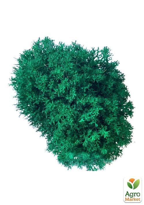 Стабілізований мох Ягель "Смарагдовий" 500 г