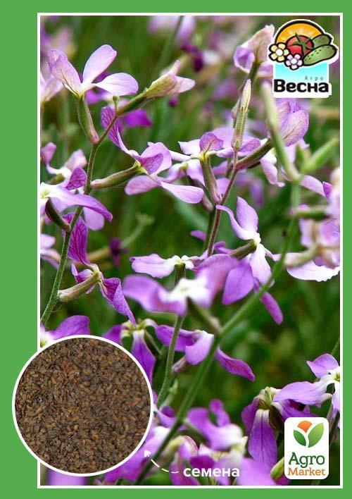 Маттиола "Ночная фиалка" ТМ "Весна" 1г