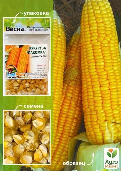 Кукурудза "Лакомка" (Зипер) ТМ "Весна" 15г