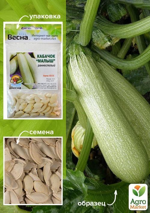 Кабачок "Малыш" (Зипер) ТМ "Весна" 5г