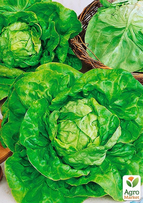 Салат "Сенатор" (Зіпер) ТМ "Весна" 3г