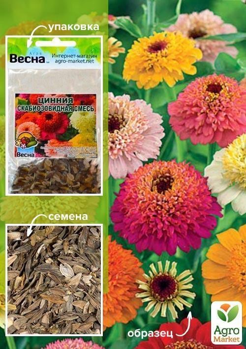 Цинія "Скабіозовидна суміш"(Зипер) ТМ "Весна" 2г