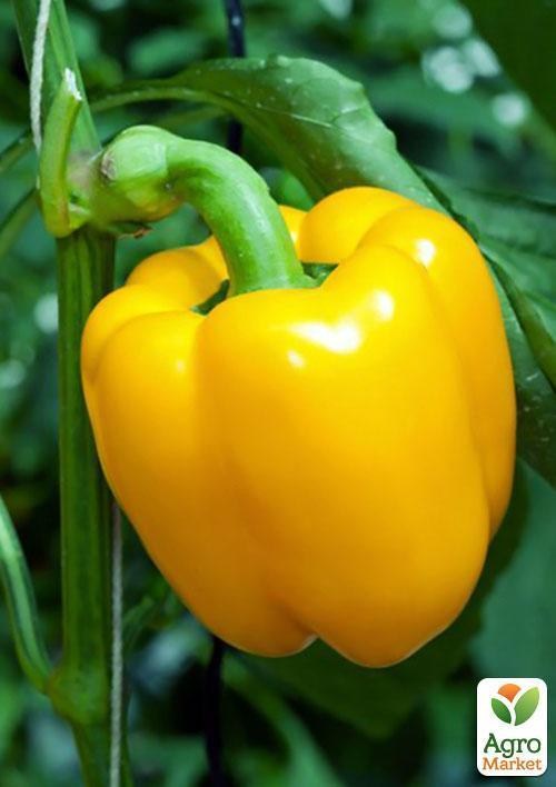 Перець "Бугай" ТМ "Vesna Select" 20шт