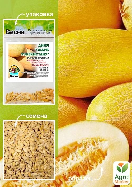 Дыня "Сокровище Узбекистана" (Зипер) ТМ "Весна" 3г