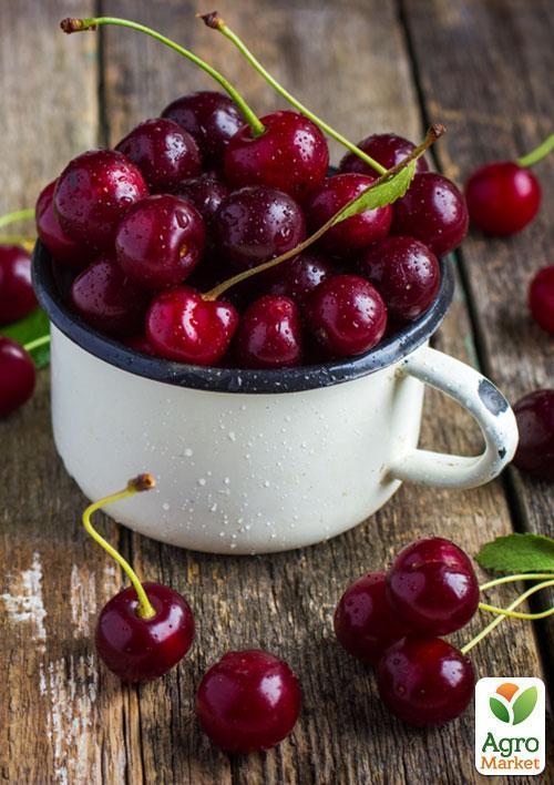 Черешня "Лапинс" (летний сорт, среднепоздний срок созревания) - фото 4