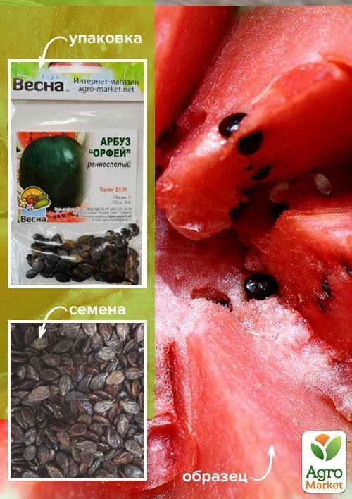 Кавун "Орфей" (Зипер) ТМ "Весна" 4г