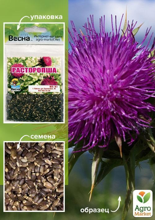 Расторопша (Зипер) ТМ "Весна" 10г