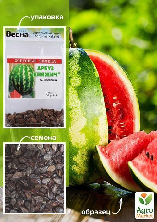 Кавун "Княжич" (Зипер) ТМ "Весна" 4г