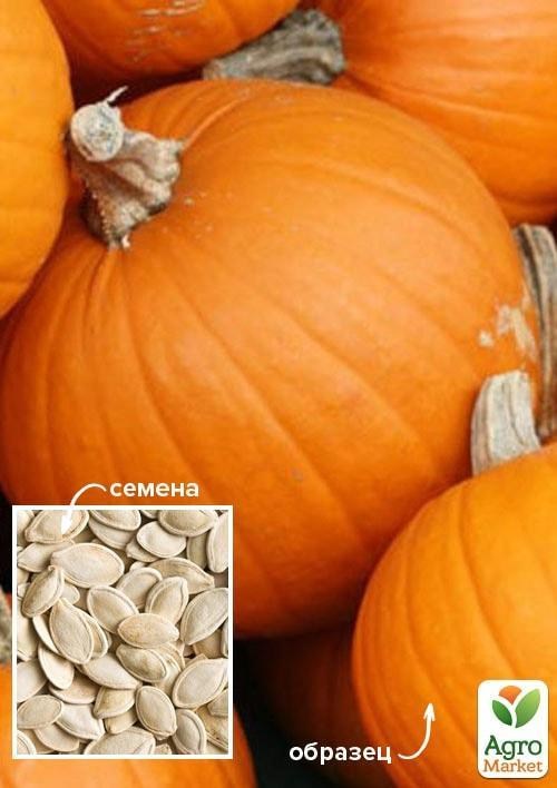 На вагу Гарбуз "Сударушка" ТМ "Весна" ціна за 15г