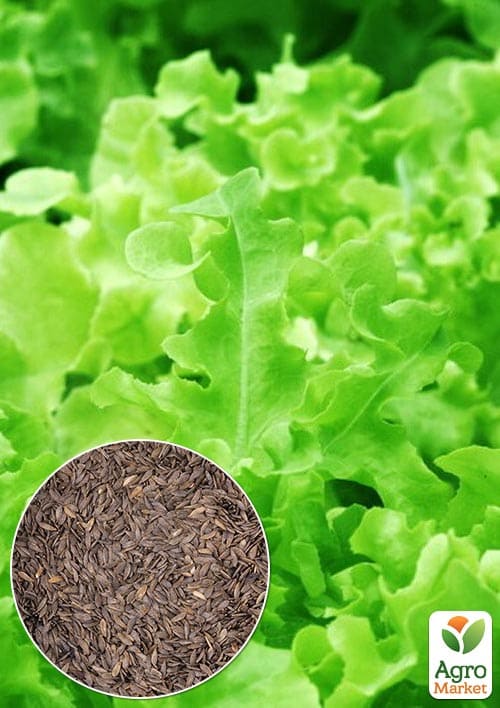 Салат "Грин пик" (Зипер) ТМ "Весна" 3г