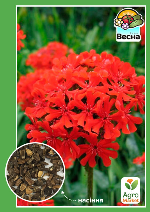 На развес Лихнис ТМ "Весна" цена за 3г