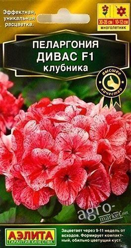 Пеларгония "Дивас F1 клубника" ТМ "АЭЛИТА" 3шт