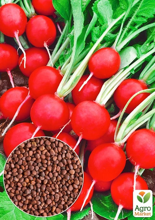 Редис "Сора" ТМ "Весна" 100г