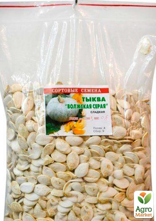 Тыква "Волжская серая" ТМ "Весна" 500г - фото 2