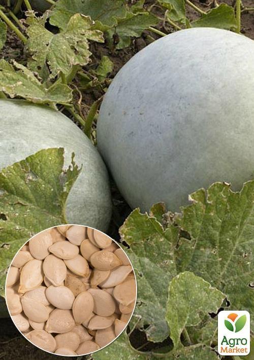 На вагу Гарбуз "Волзький сірий" ТМ "Весна" ціна за 10г