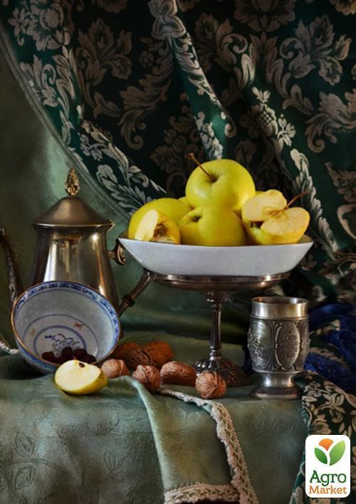 Яблоня "Богемия Голд" (зимний сорт, поздний срок созревания) - фото 5