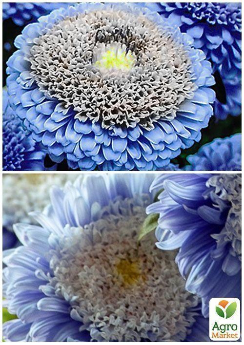 На развес Астра "Кристина" ТМ "Весна" цена за 1,5г - фото 4