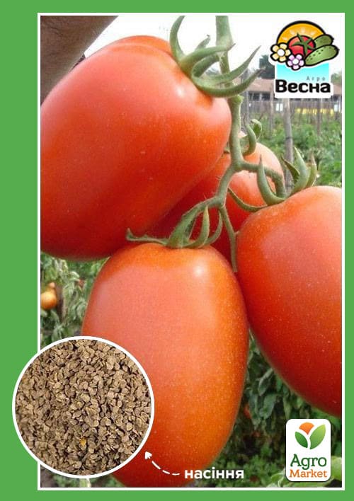 Томат "Новачок" ТМ "Весна" 0.2г