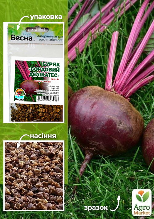 Свекла "Бордовый деликатес" (Зипер) ТМ "Весна" 6г