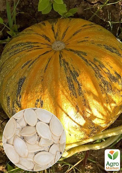 На вагу Гарбуз "Український багатоплідний" ТМ "Весна" ціна за 10г