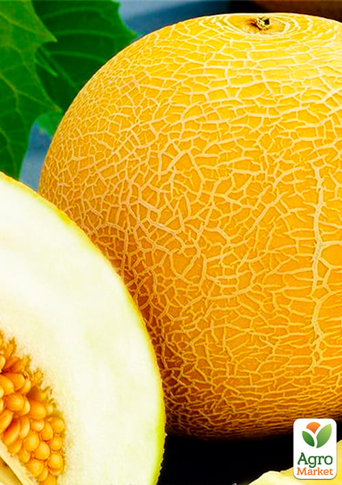 На вагу Диня "Колгоспниця" ТМ "Весна" ціна за 5г - фото 2