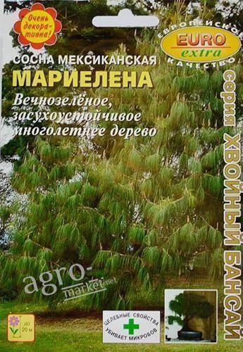 Сосна мексиканська "Маріель" ТМ «Аеліта» 0.1г