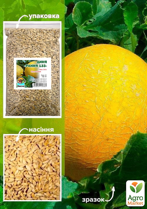 Дыня "Ранняя 133" ТМ "Весна" 500г
