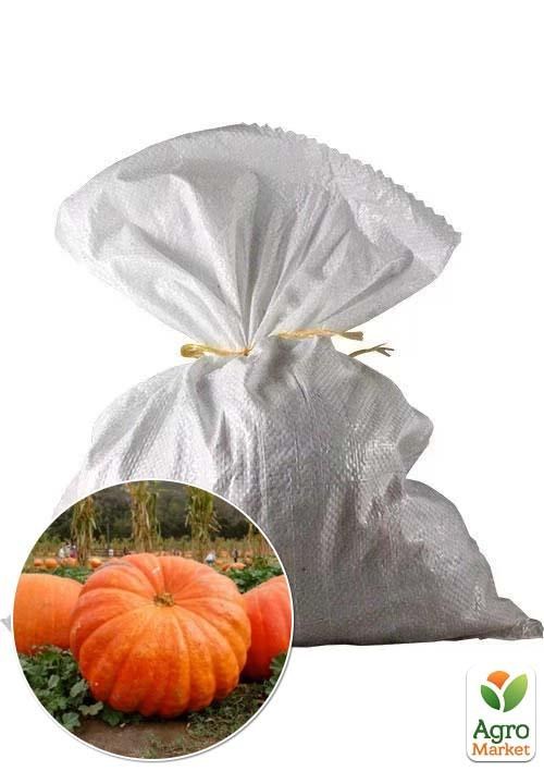 Тыква "Атлантический гигант" ТМ Весна 3кг