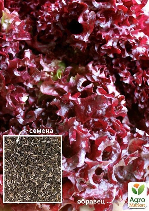 Салат "Эвридика" ТМ "Весна" 100г