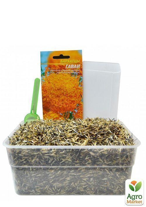 На развес Бархатцы "Гавайи" ТМ "Весна" цена за 2г - фото 2