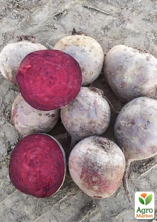 Свекла столовая "Марун F1" ТМ "Lark Seeds" 5000шт