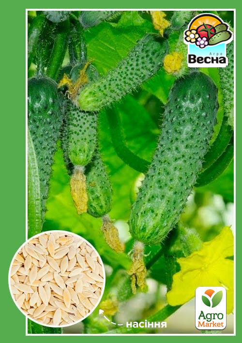 Огурец "Анулька" ТМ "Весна" 0.5г