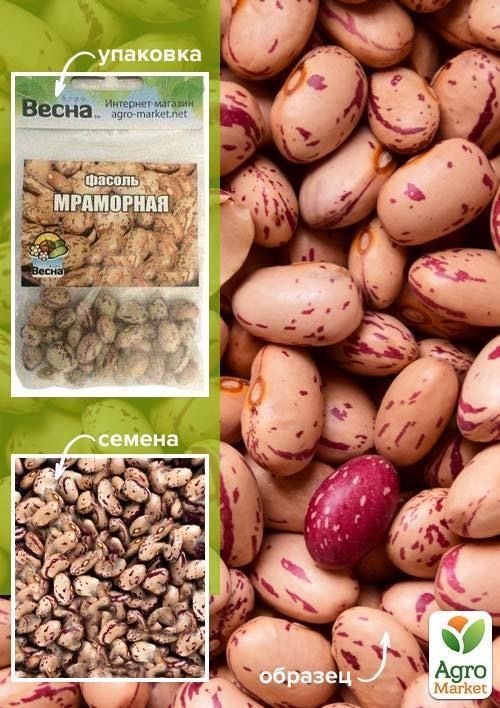 Квасоля "Мармурова" (Зипер) ТМ "Весна" 5г