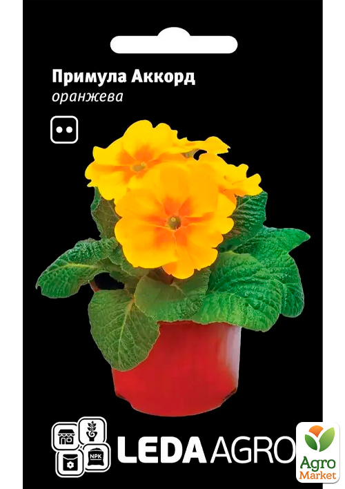 Примула "Аккорд" оранжевая ТМ "Leda Agro" 10шт