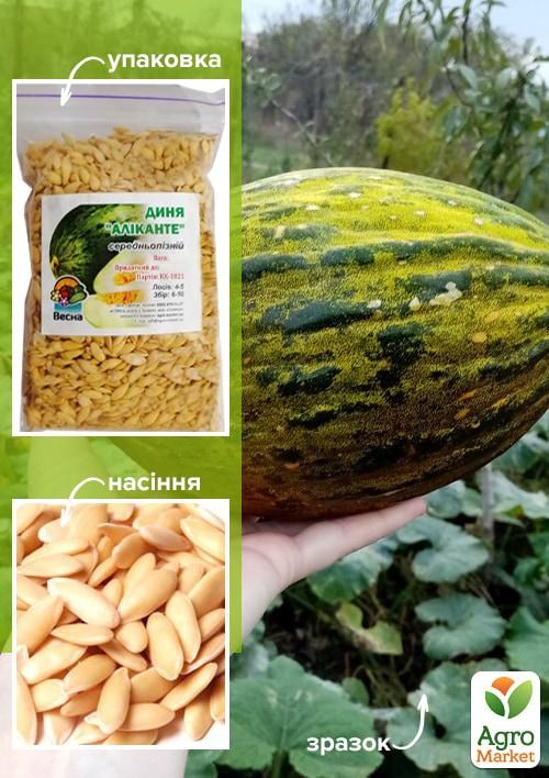 Диня "Аліканте" ТМ "Весна" 100г
