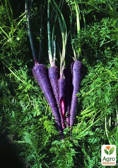 Морква "Ультрафіолет" ТМ "Vesna Exclusive" 10шт