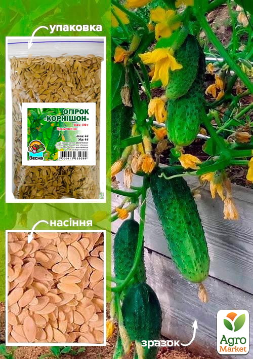 Огурец "Корнишон" ТМ "Весна" 100г