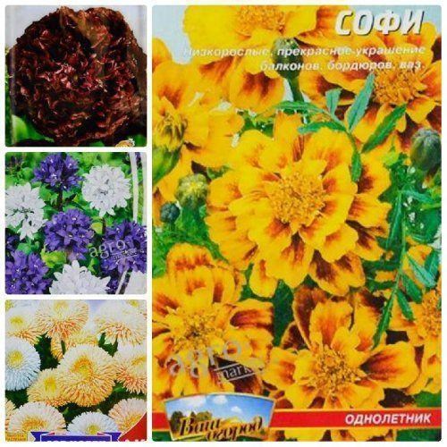 Комплект семян цветов "Цветочный комплекс" 5уп