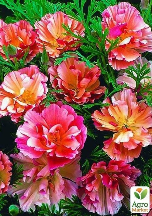 Ешшольція "Загадка" (Зипер) ТМ "Весна" 1г - фото 2