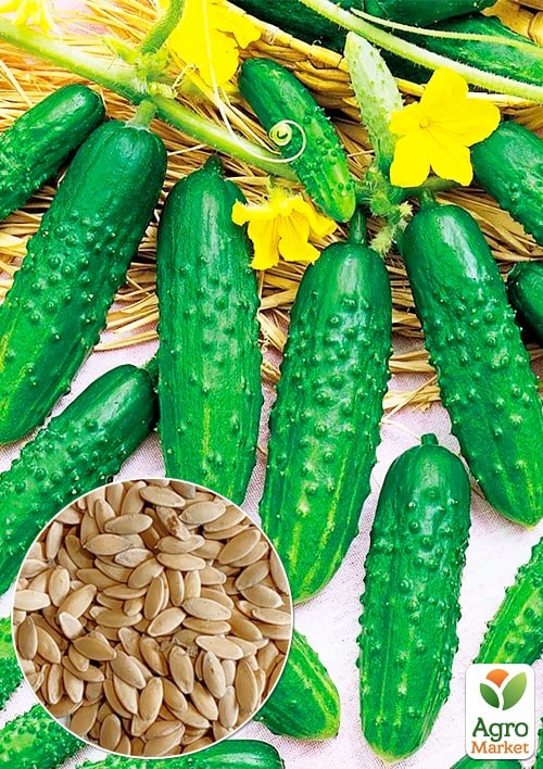На развес Огурец "Заначка" ТМ "Весна" цена за 2г