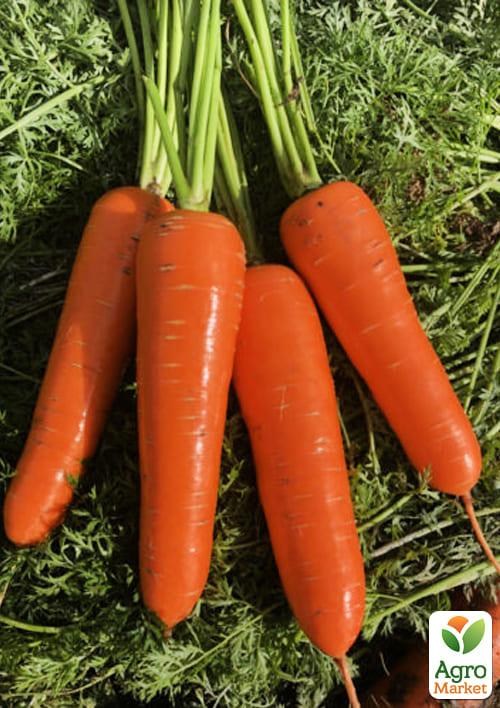 Морковь "Йорк F1" ТМ "Lark Seeds" 250000шт