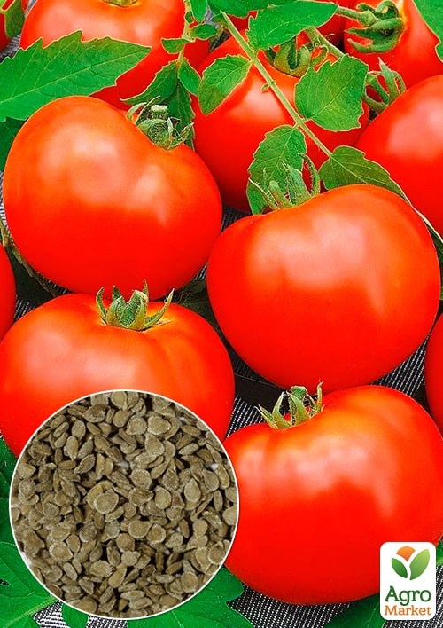 На развес Томат "Таяна" ТМ "Весна" цена за 2г