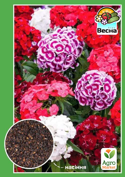 Гвоздика "Турецкая" ТМ "Весна" 0.3г