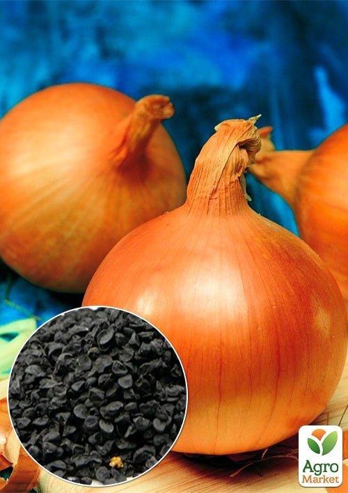 На развес Лук репчатый "Глобо" ТМ "Весна" цена за 5г